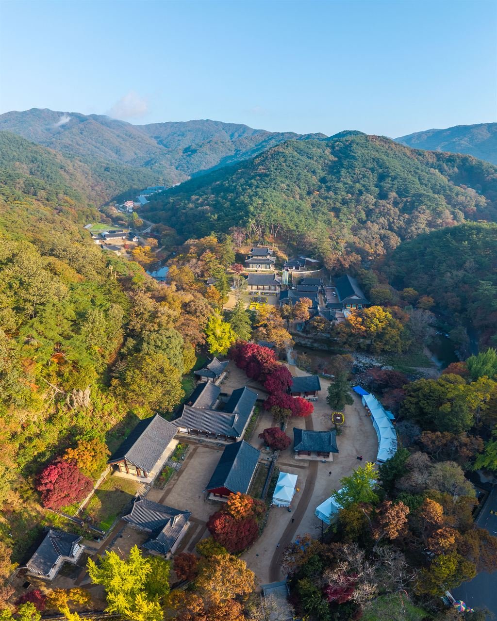 공주 마곡사 단풍