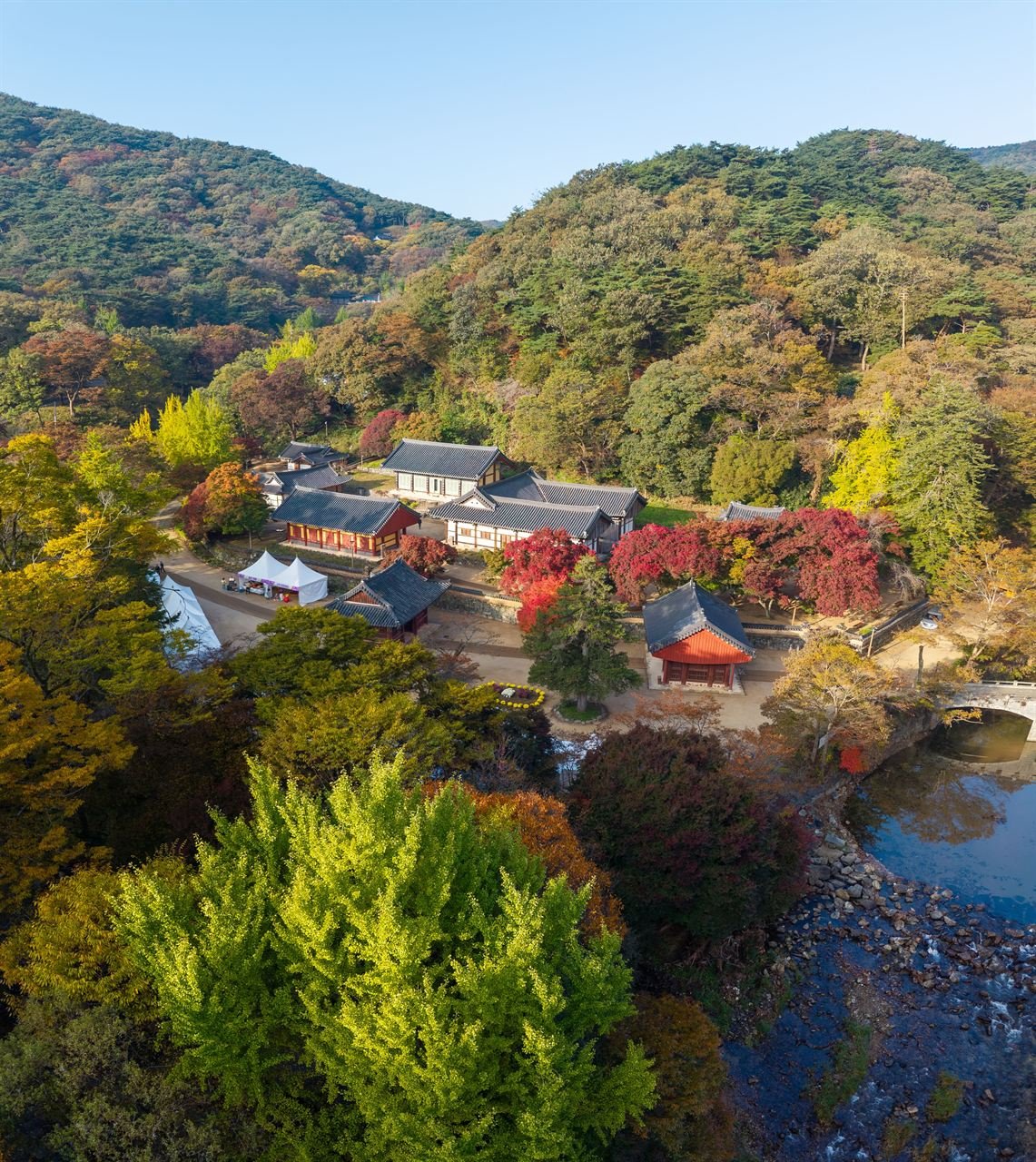 공주 마곡사 단풍 사진 3