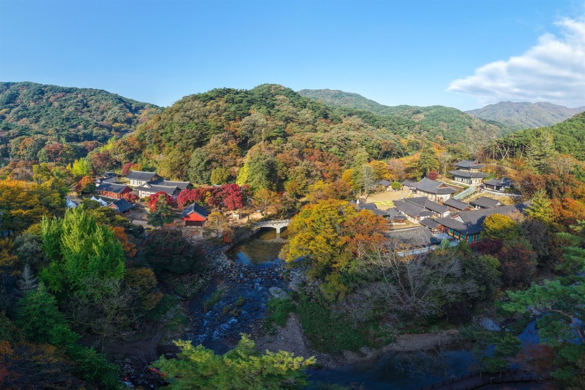 공주 마곡사 단풍 사진 5